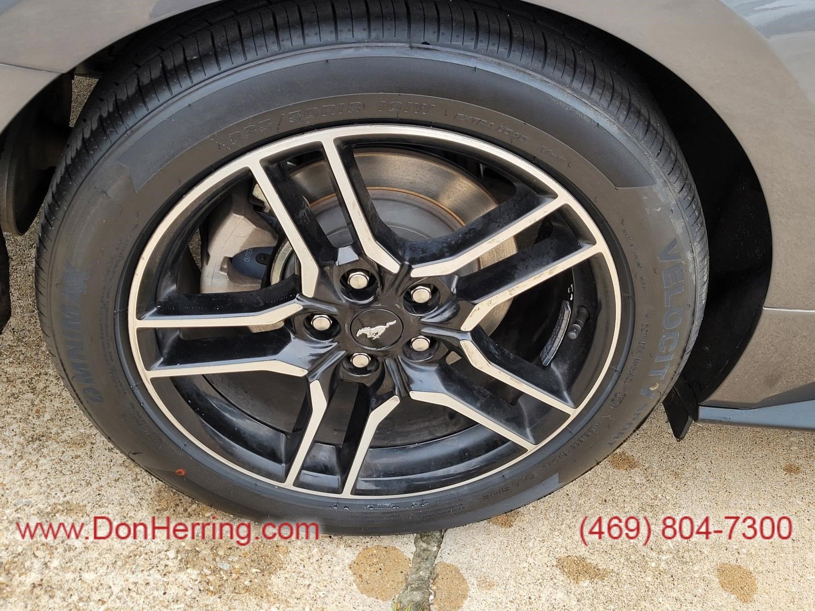 2023 Ford Mustang EcoBoost Premium