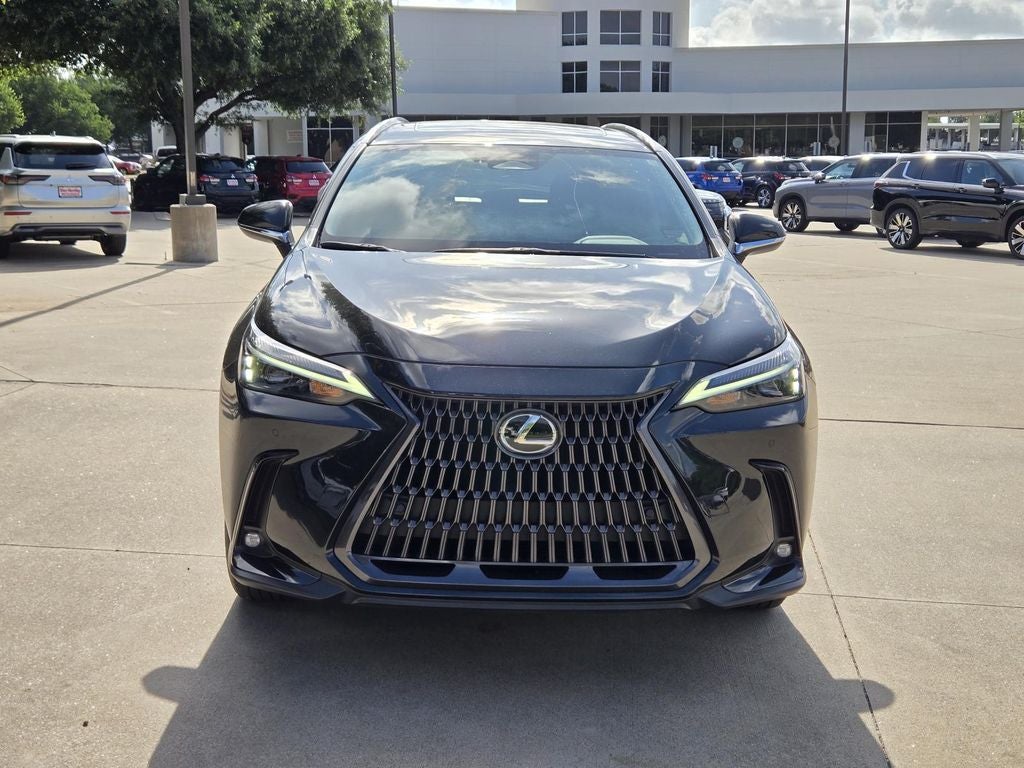 2024 Lexus NX 350 Premium